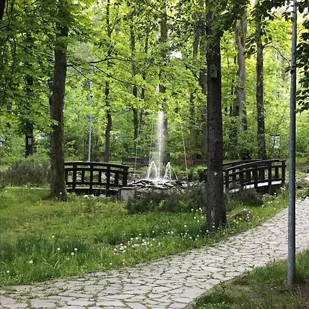 Polaniczanka ポラニツァ・ズドゥルイ